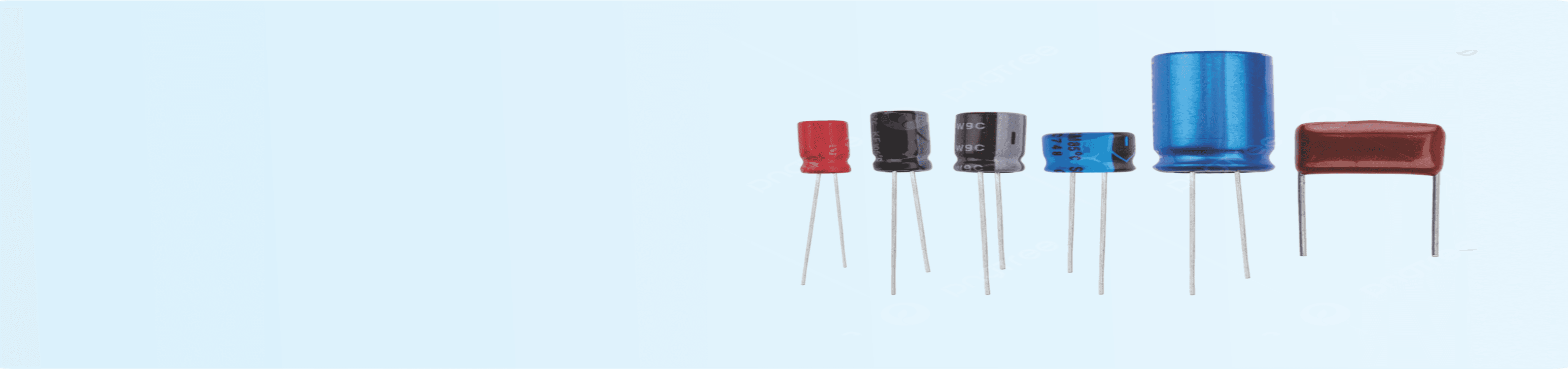 banner image